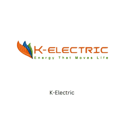 K Electric BeeHive Consultants Corporate Training SDGs Faisal Shaikh